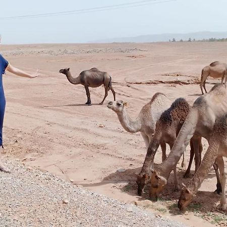 Riad De Reve Zagora Eksteriør billede