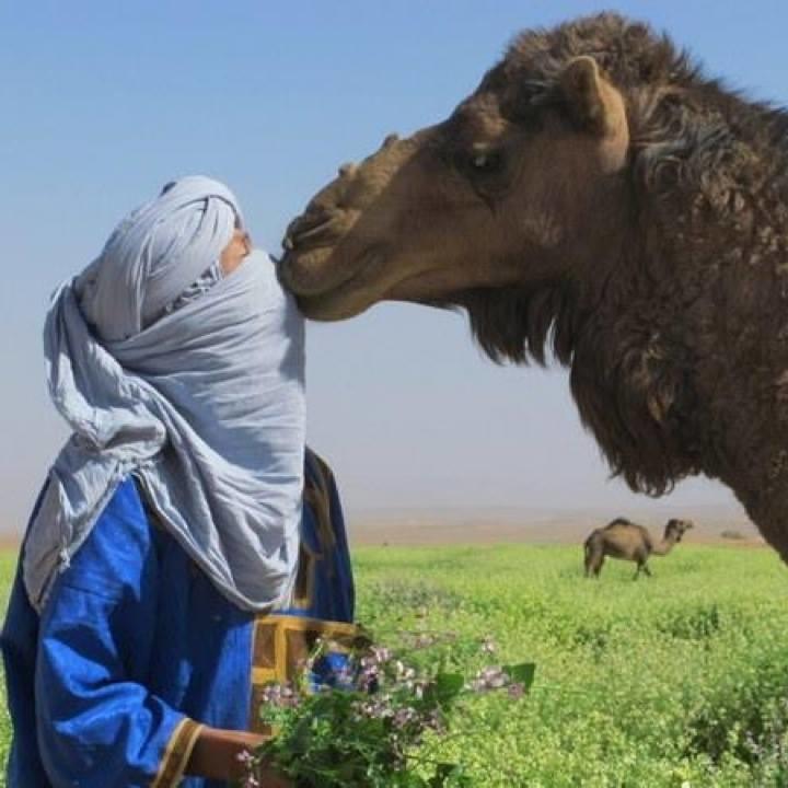 Riad De Reve Zagora Eksteriør billede